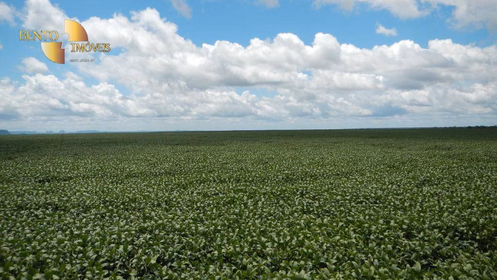 Fazenda de 910 ha em São Francisco do Maranhão, MA