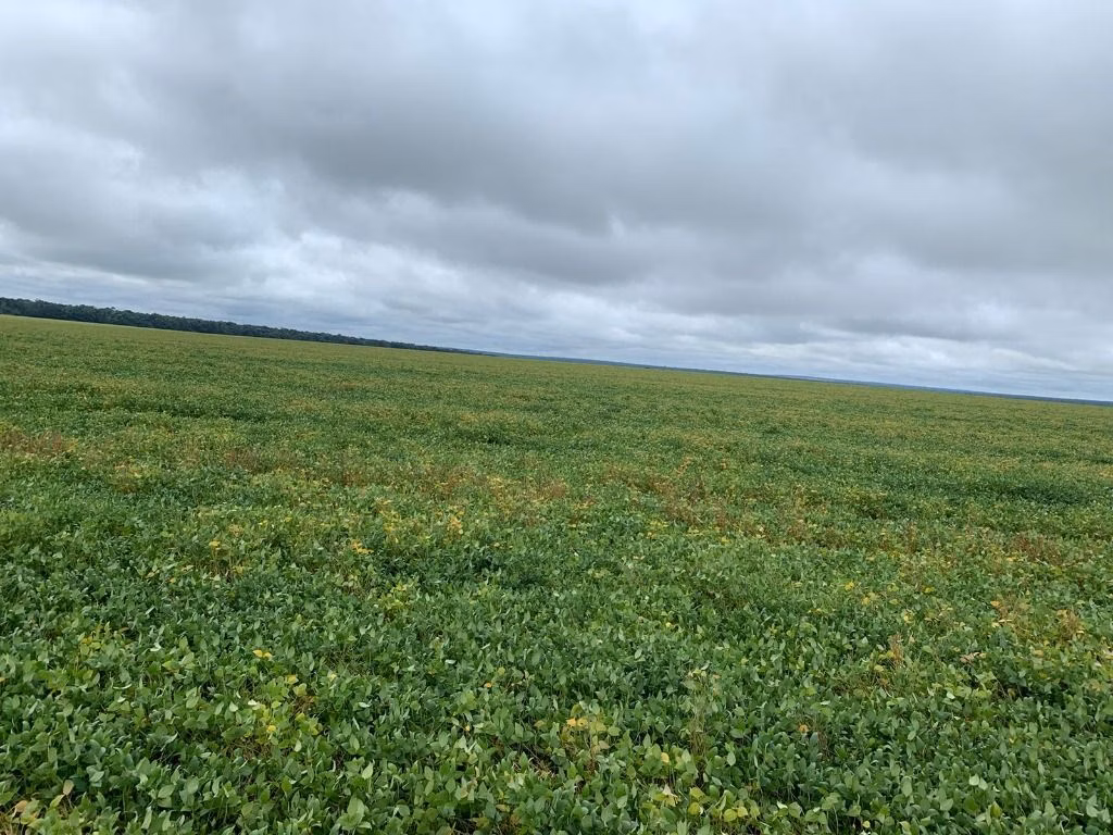 Fazenda de 4.800 ha em Nova Maringá, MT