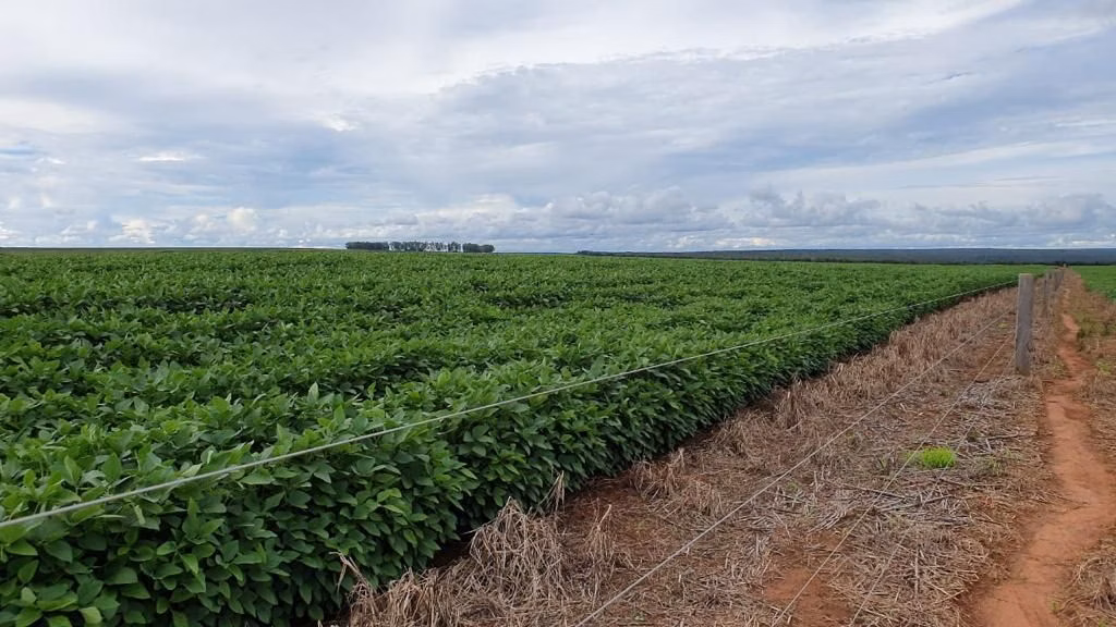 Fazenda de 4.800 ha em Nova Maringá, MT