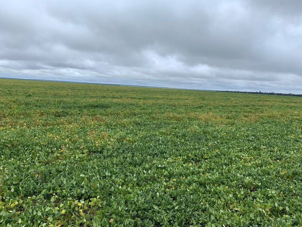 Fazenda de 4.800 ha em Nova Maringá, MT