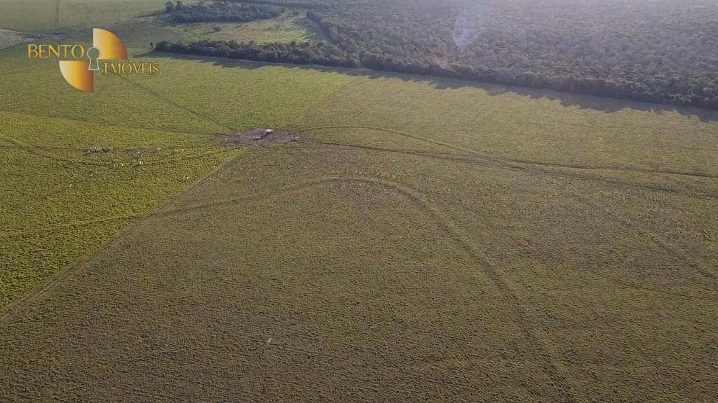 Fazenda de 730 ha em São José do Rio Claro, MT