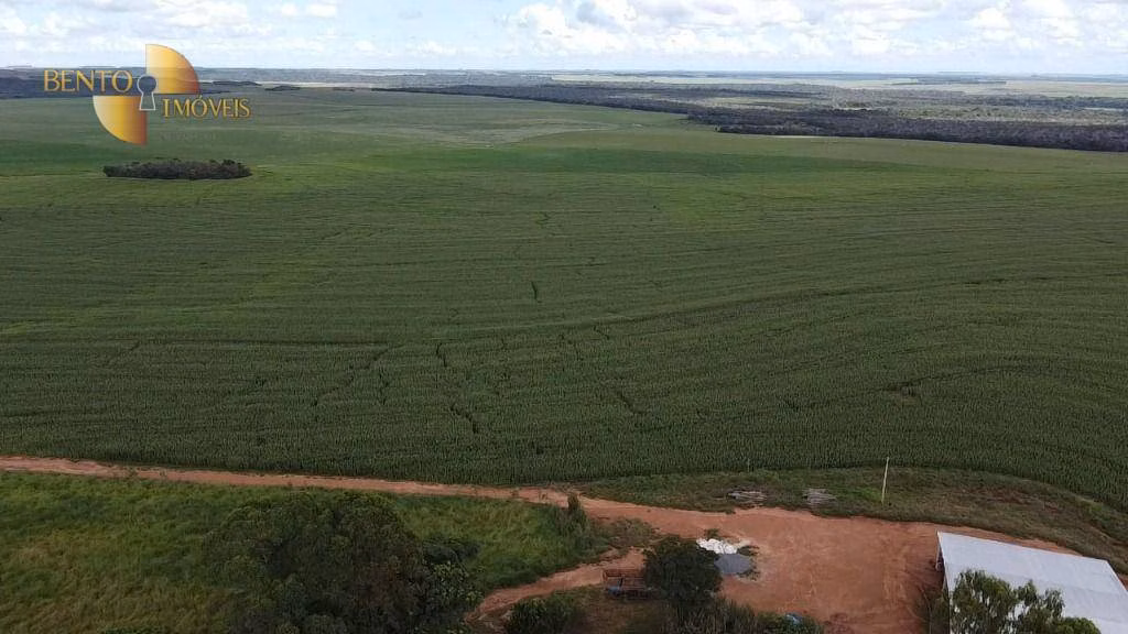 Farm of 1.804 acres in São José do Rio Claro, MT, Brazil