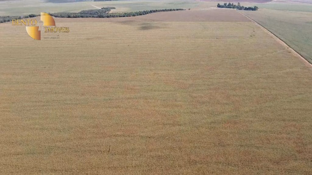 Fazenda de 730 ha em São José do Rio Claro, MT