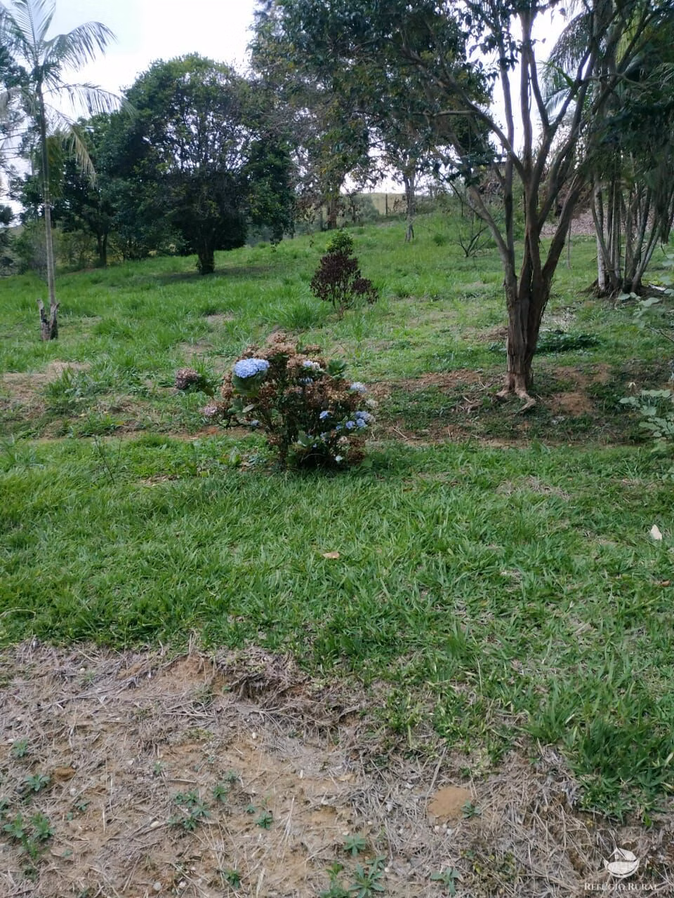 Sítio de 19 ha em São José dos Campos, SP