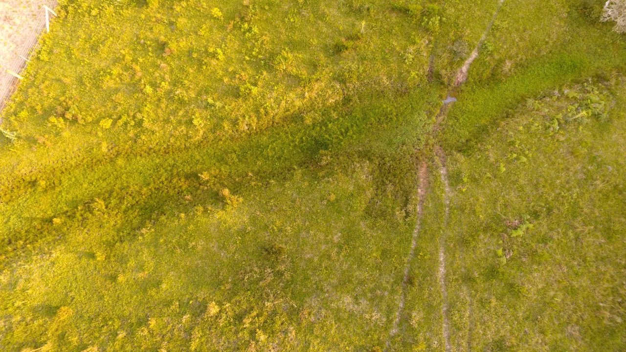 Chácara de 2 ha em Santo Antônio da Patrulha, RS