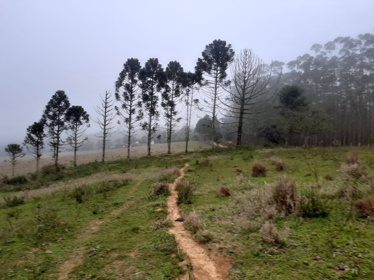 Sítio de 48 ha em Pilar do Sul, SP