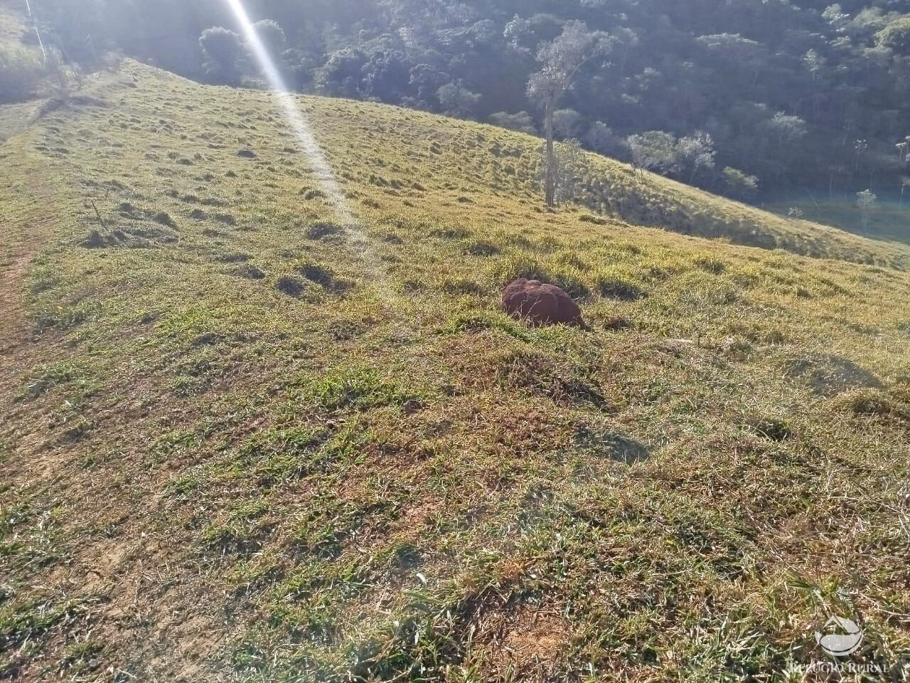 Chácara de 2 ha em Monteiro Lobato, SP