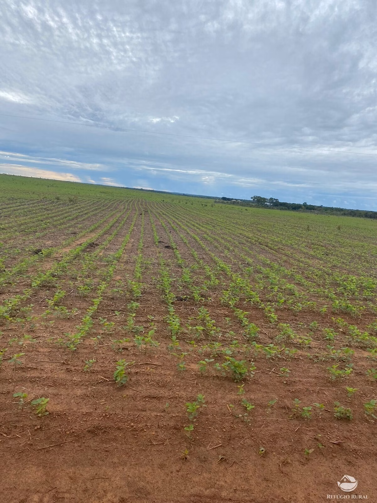 Fazenda de 4.100 ha em Canabrava do Norte, MT