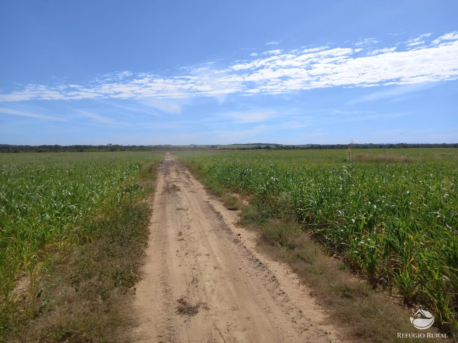Fazenda de 4.100 ha em Canabrava do Norte, MT