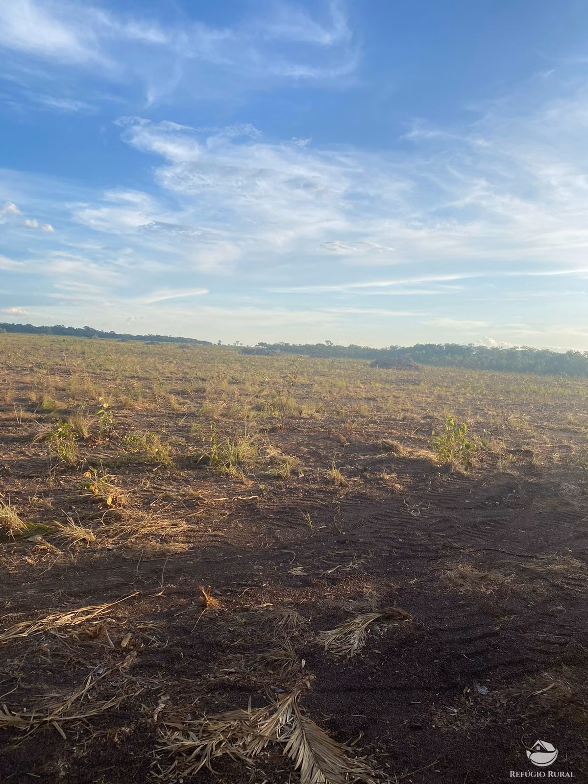 Fazenda de 4.100 ha em Canabrava do Norte, MT
