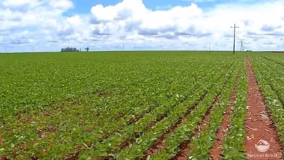 Fazenda de 4.100 ha em Canabrava do Norte, MT