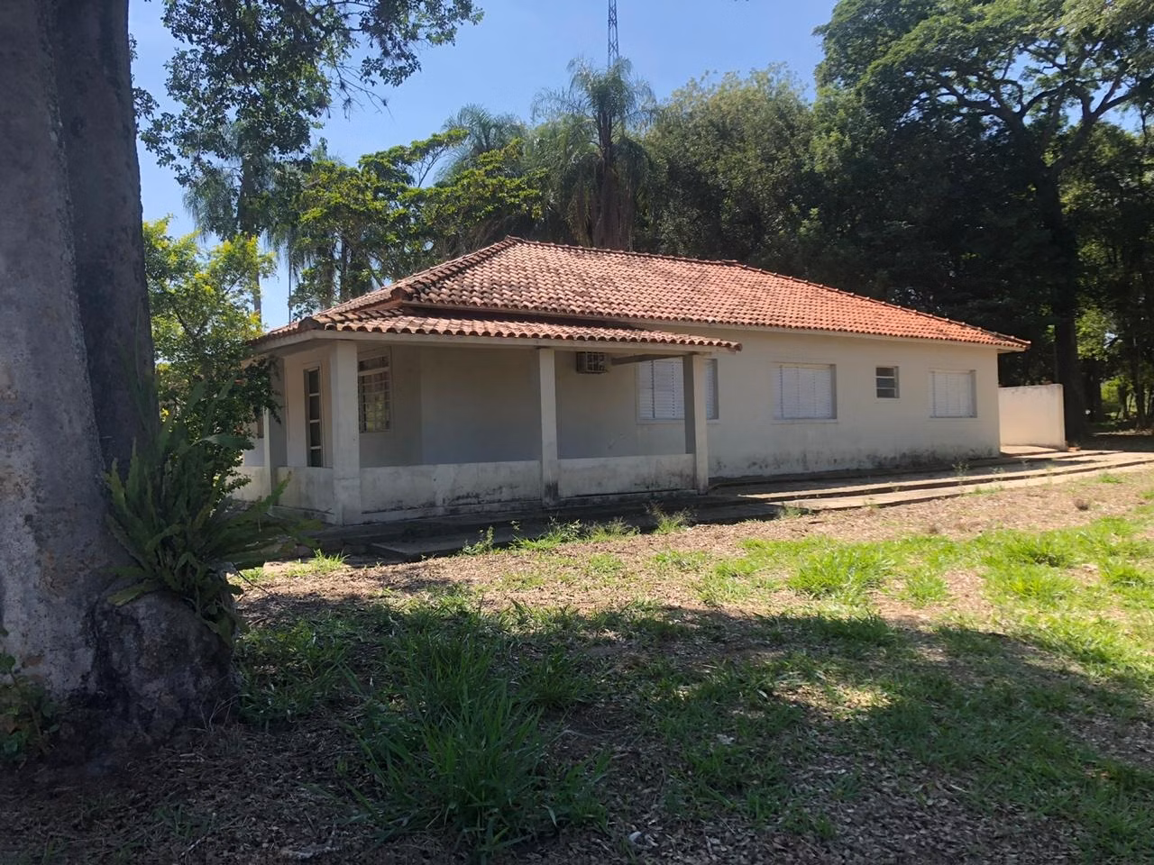 Fazenda de 150 ha em Angatuba, SP