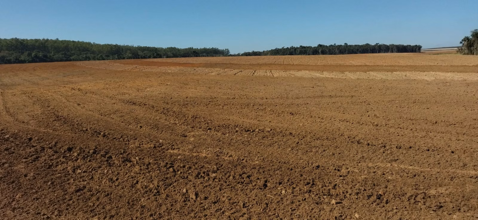 Fazenda de 150 ha em Angatuba, SP