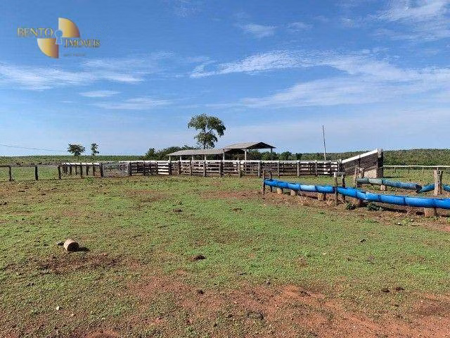 Fazenda de 401 ha em Nobres, MT