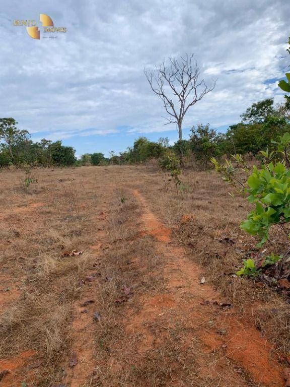 Fazenda de 1.498 ha em Paranatinga, MT