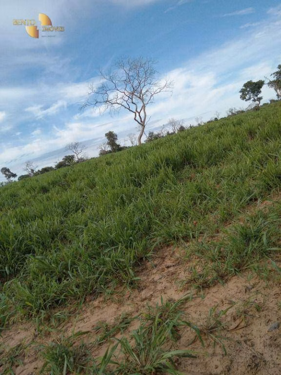 Fazenda de 580 ha em Chapada dos Guimarães, MT