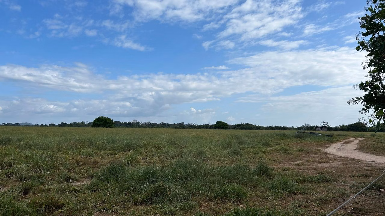 Farm of 1.730 acres in Cantá, RR, Brazil