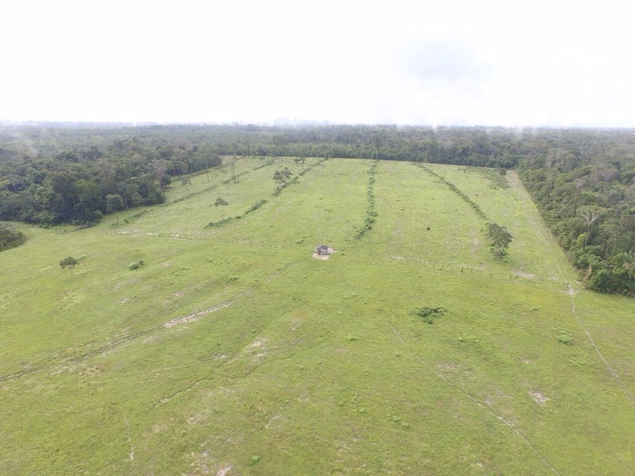Farm of 1.730 acres in Cantá, RR, Brazil