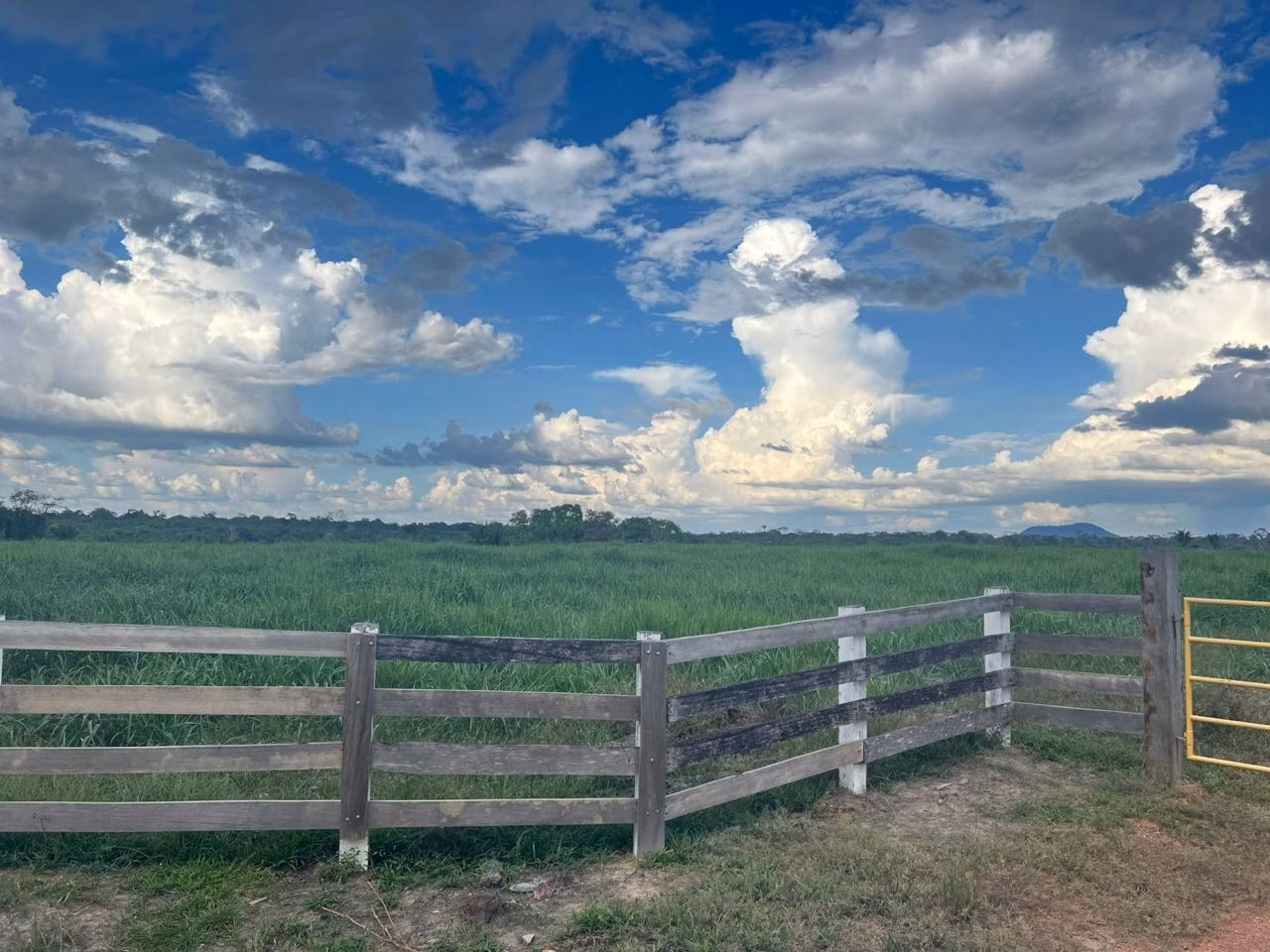 Farm of 1.730 acres in Cantá, RR, Brazil