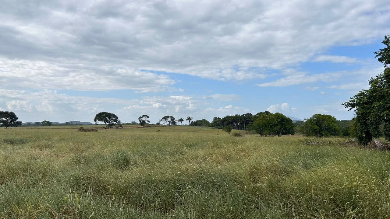 Farm of 1.730 acres in Cantá, RR, Brazil