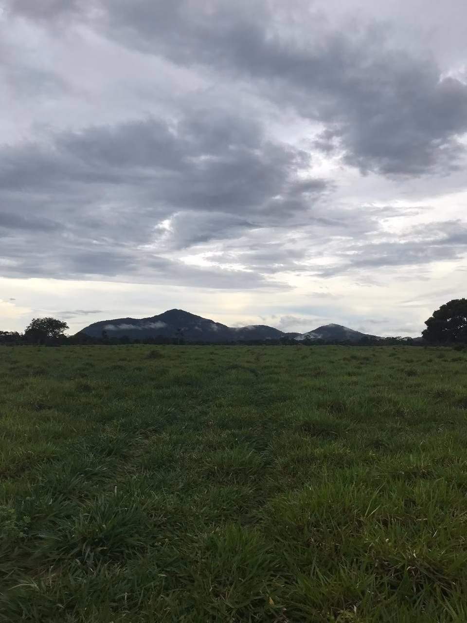 Farm of 1.730 acres in Cantá, RR, Brazil
