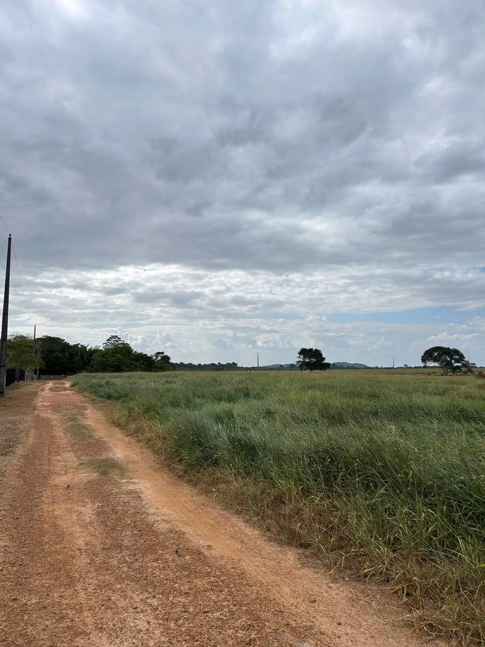 Farm of 1.730 acres in Cantá, RR, Brazil