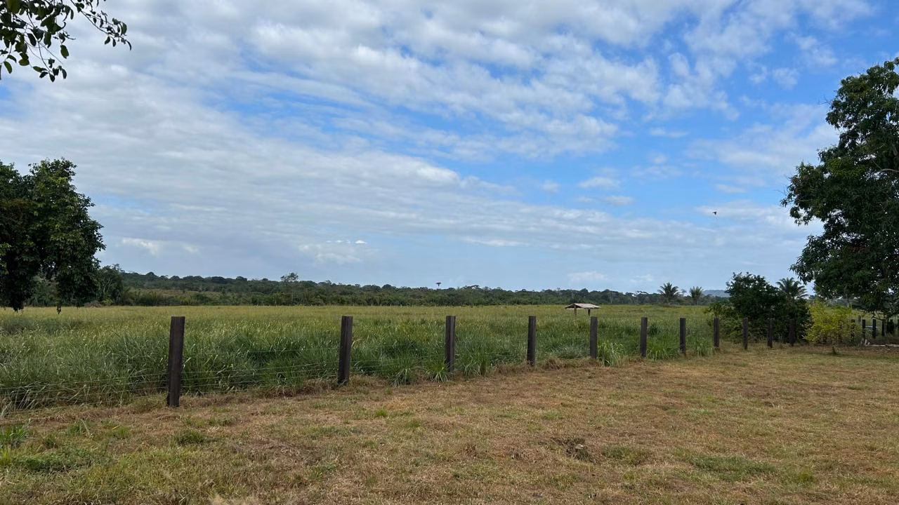 Farm of 1.730 acres in Cantá, RR, Brazil