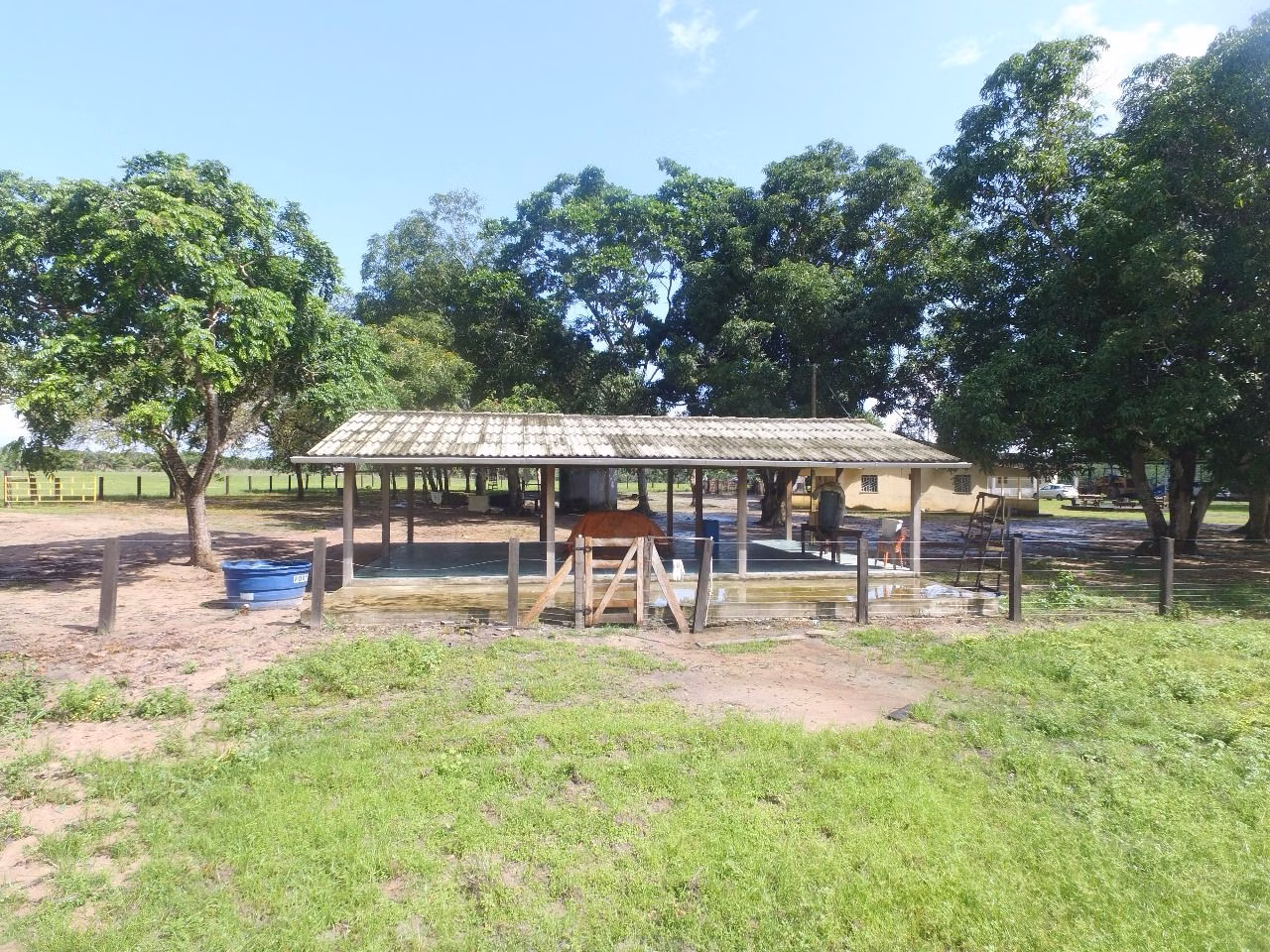 Farm of 1.730 acres in Cantá, RR, Brazil