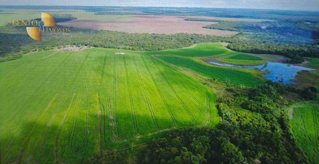 Fazenda de 1.004 ha em Lucas do Rio Verde, MT