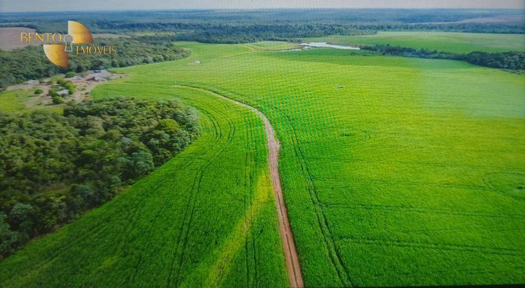 Fazenda de 1.004 ha em Lucas do Rio Verde, MT