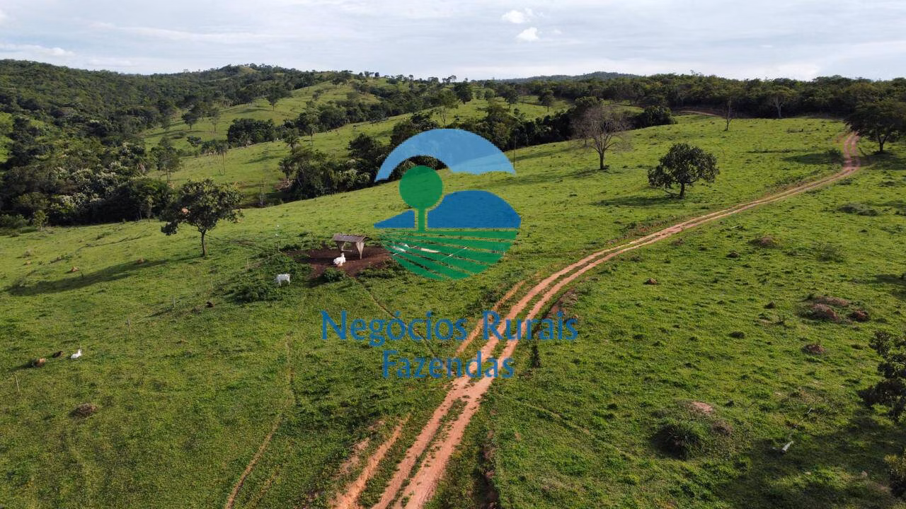 Fazenda de 469 ha em Pires do Rio, GO