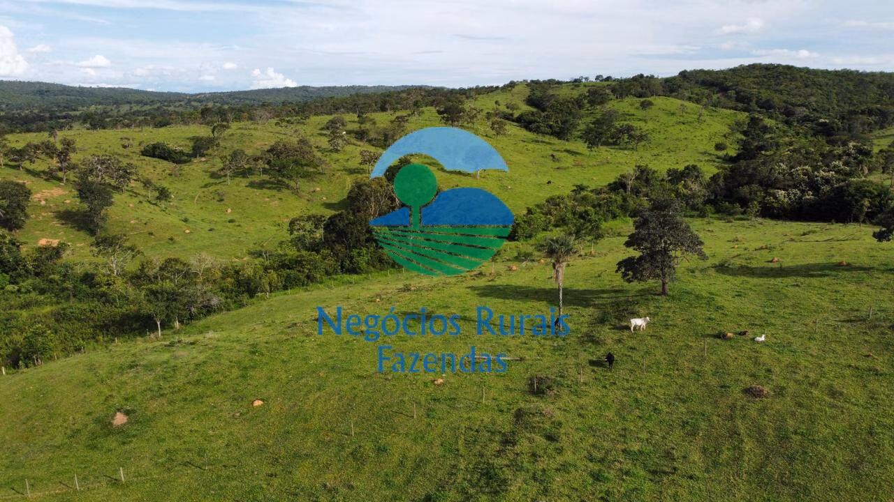 Fazenda de 469 ha em Pires do Rio, GO