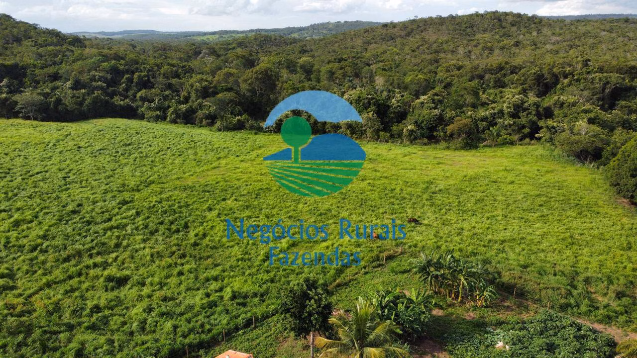 Fazenda de 469 ha em Pires do Rio, GO