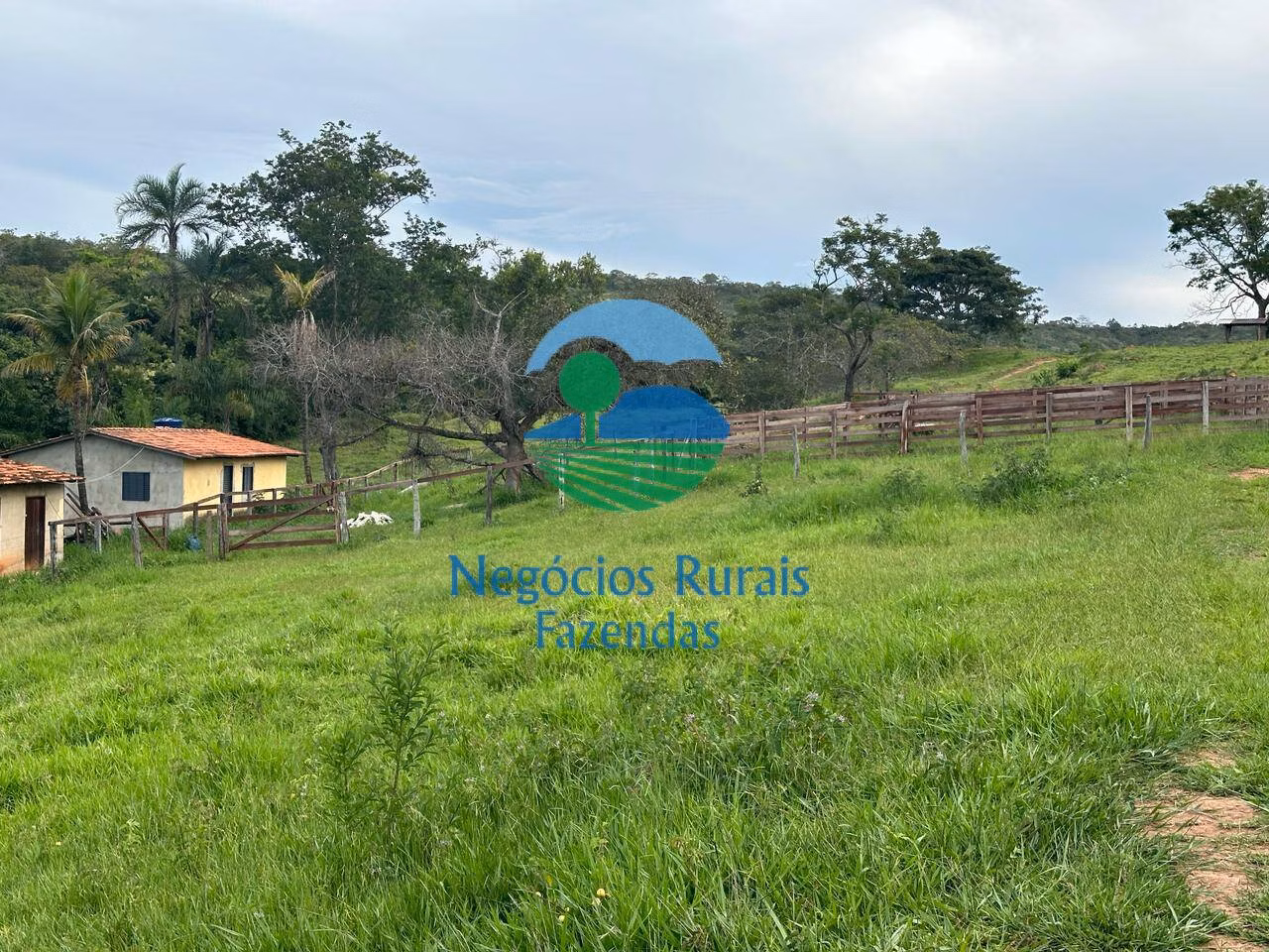 Fazenda de 469 ha em Pires do Rio, GO