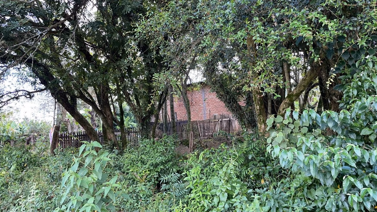Chácara de 4.300 m² em Santo Antônio da Patrulha, RS