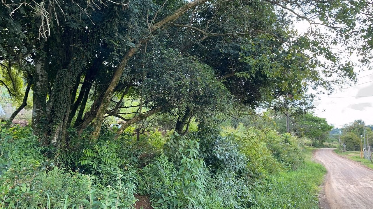 Chácara de 4.300 m² em Santo Antônio da Patrulha, RS