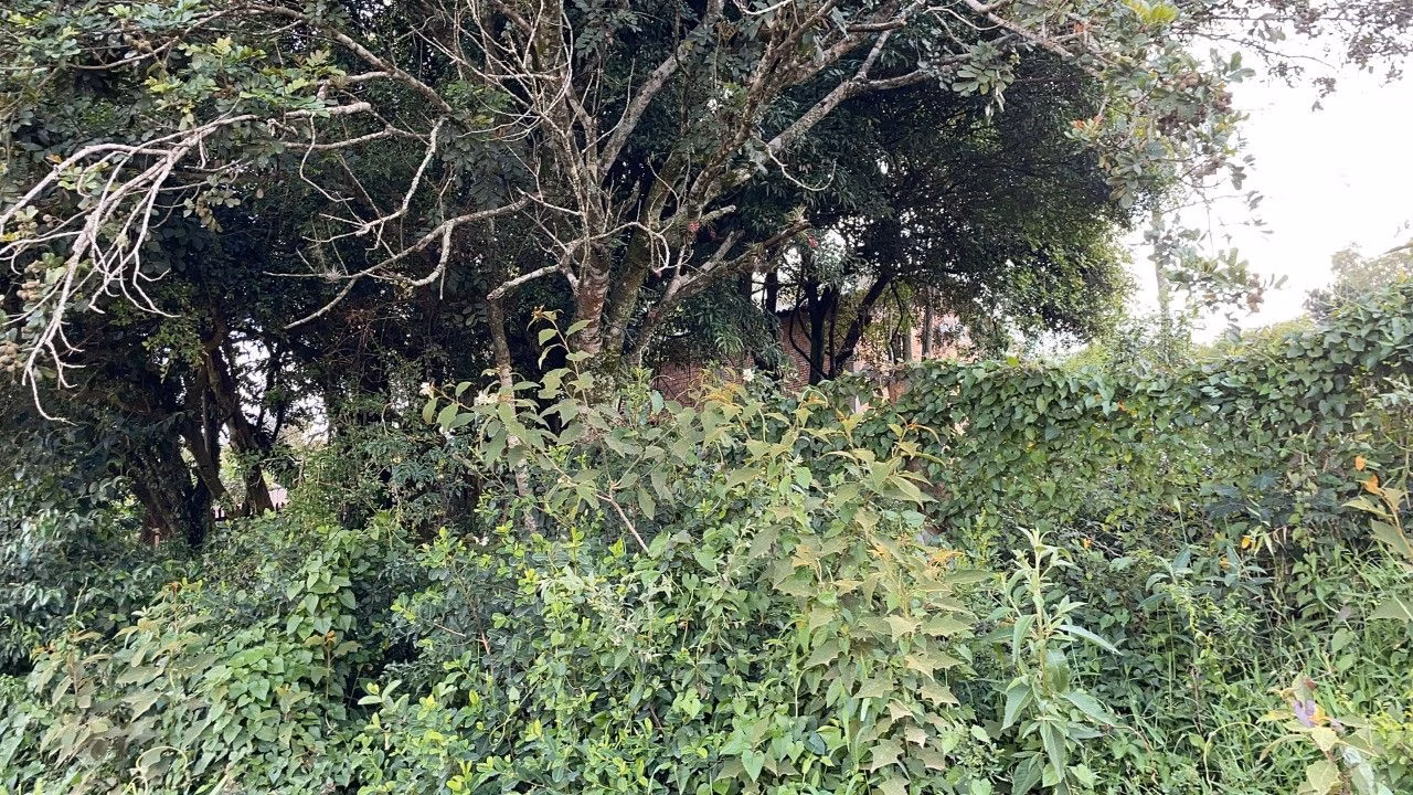 Chácara de 4.300 m² em Santo Antônio da Patrulha, RS