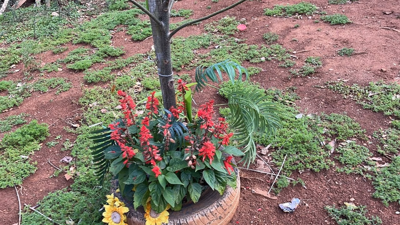 Chácara de 4.300 m² em Santo Antônio da Patrulha, RS
