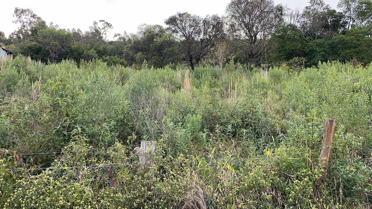 Chácara de 4.300 m² em Santo Antônio da Patrulha, RS