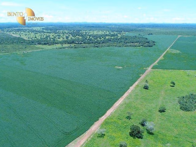 Fazenda de 1.210 ha em Peixe, TO