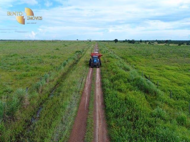 Fazenda de 1.210 ha em Peixe, TO