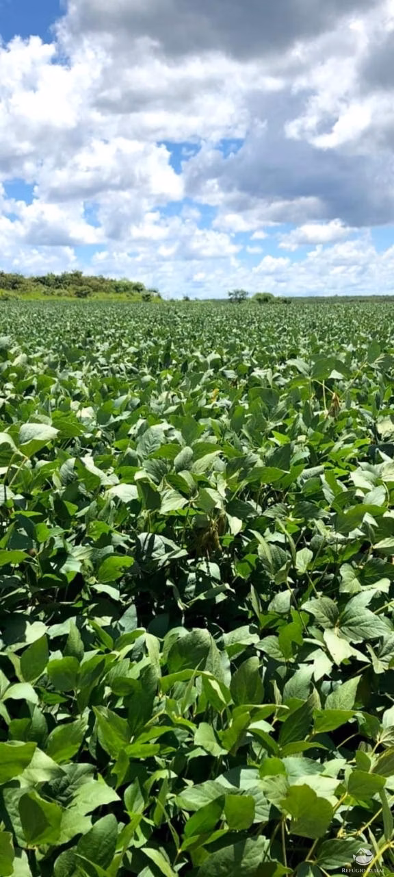 Fazenda de 2.447 ha em Marcelândia, MT