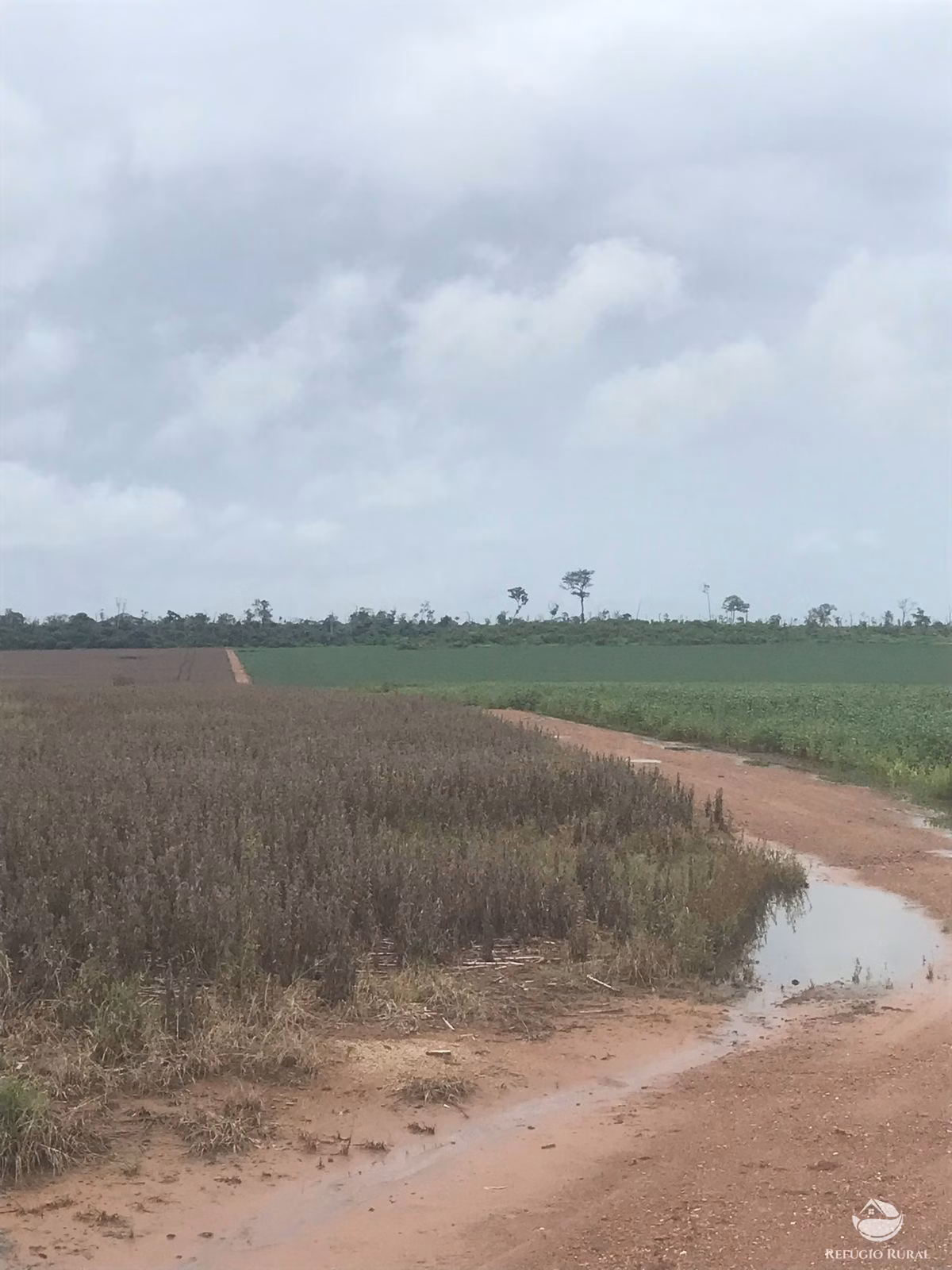 Fazenda de 2.447 ha em Marcelândia, MT