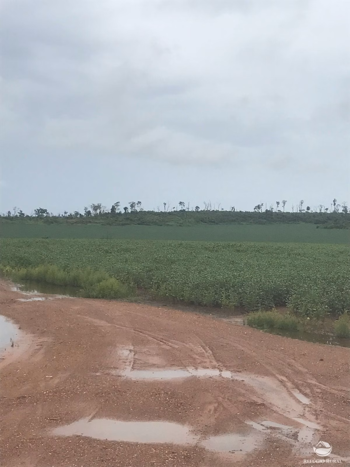 Fazenda de 2.447 ha em Marcelândia, MT