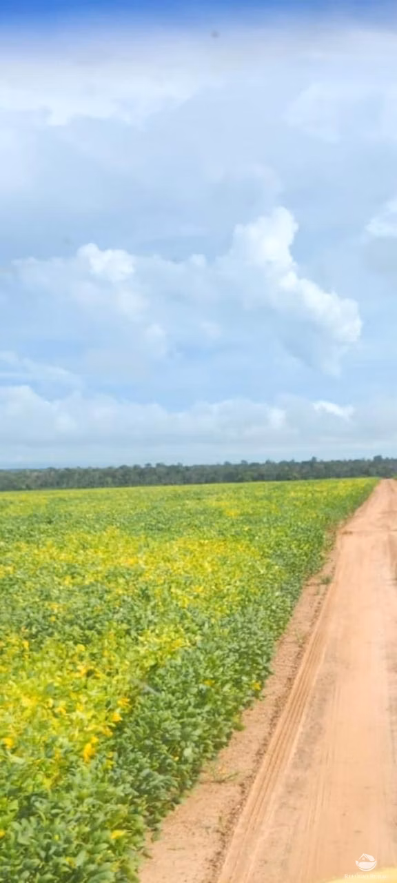 Fazenda de 2.447 ha em Marcelândia, MT