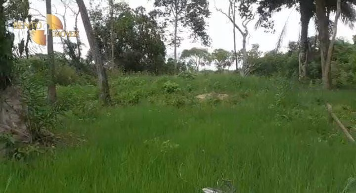 Fazenda de 650 ha em Cuiabá, MT