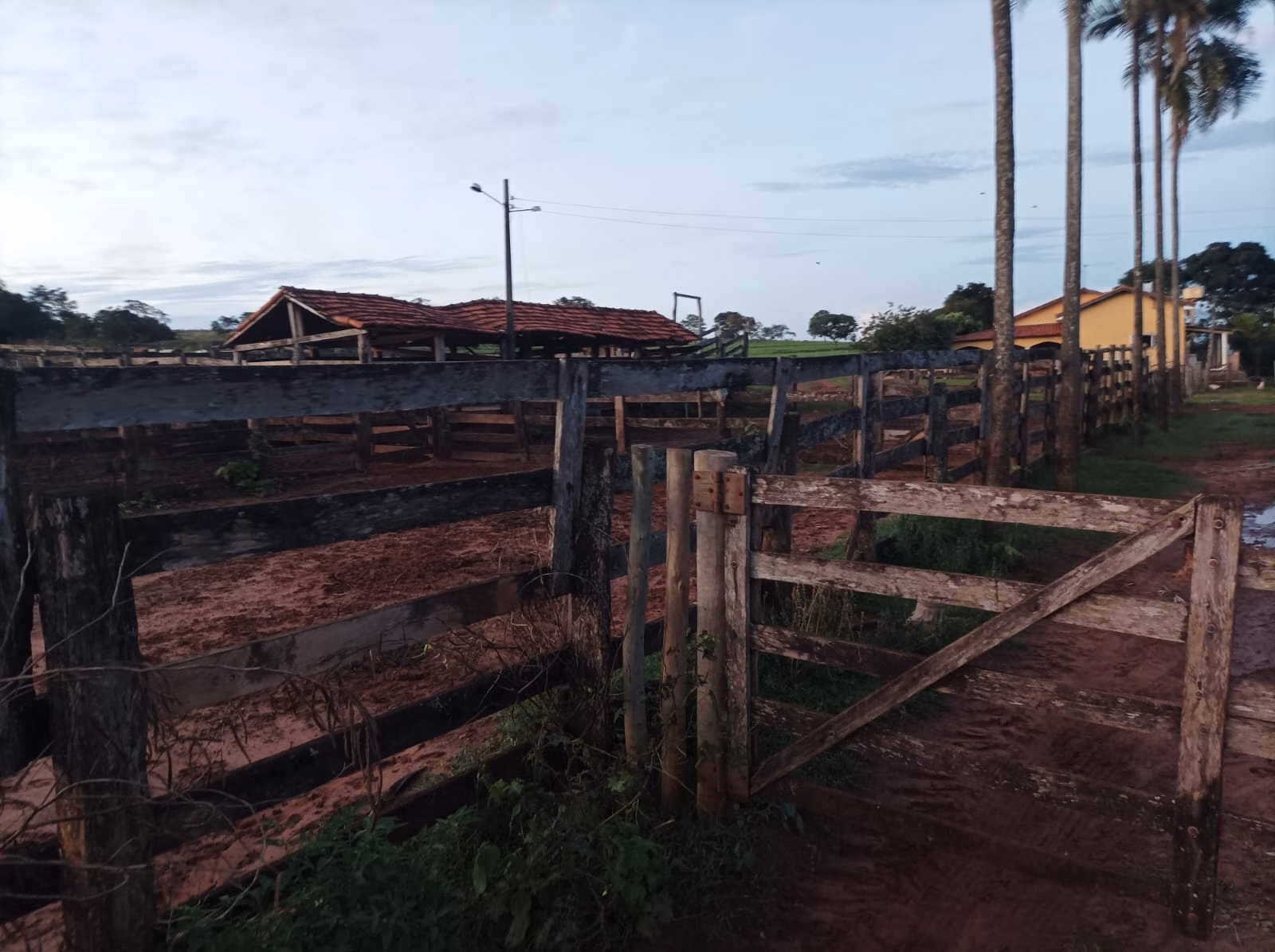 Fazenda de 380 ha em Aparecida do Taboado, MS