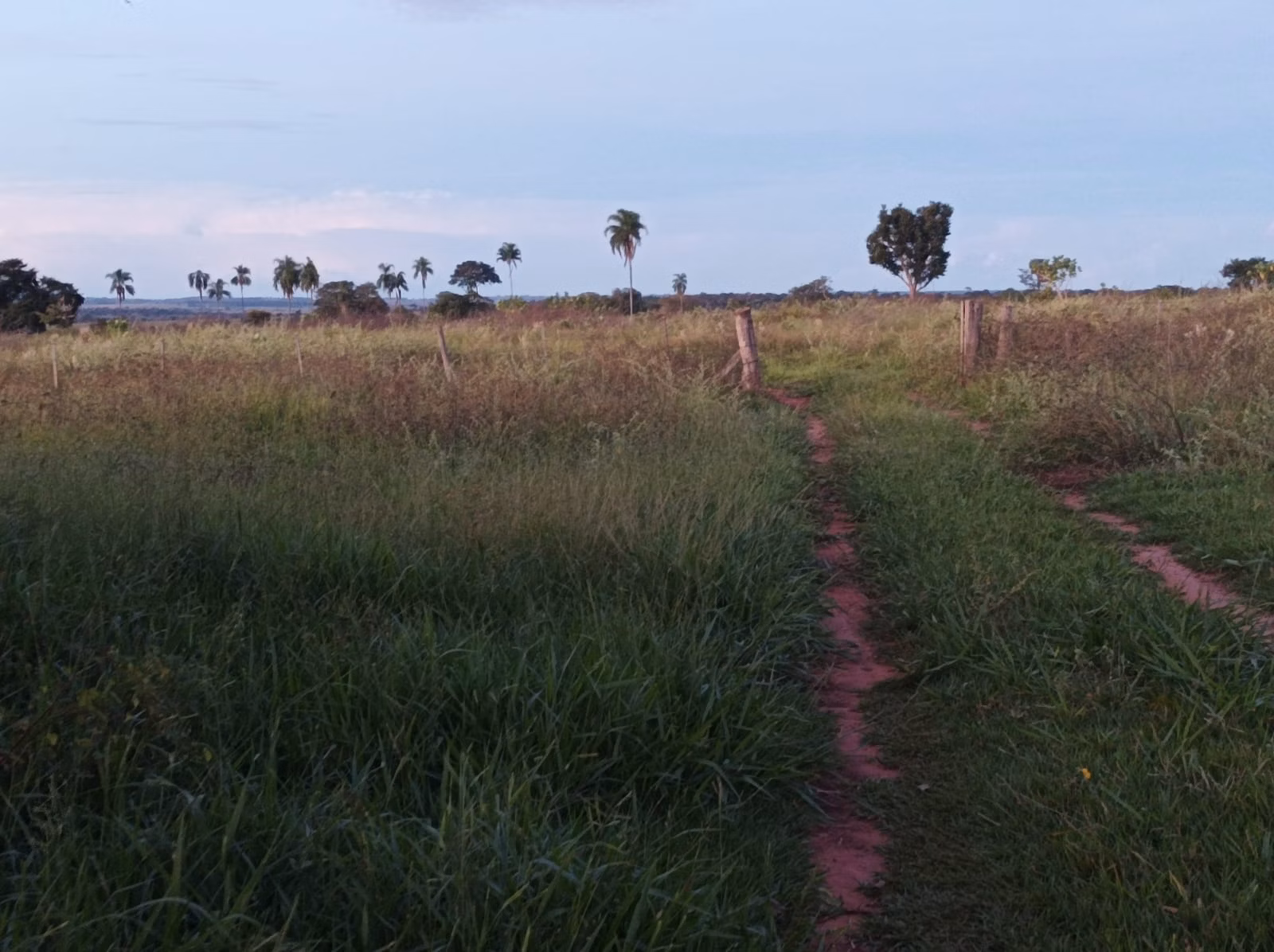 Fazenda de 380 ha em Aparecida do Taboado, MS