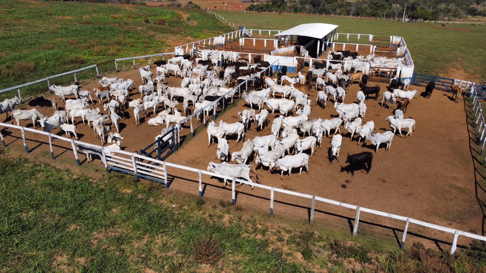 Fazenda de 380 ha em Aparecida do Taboado, MS