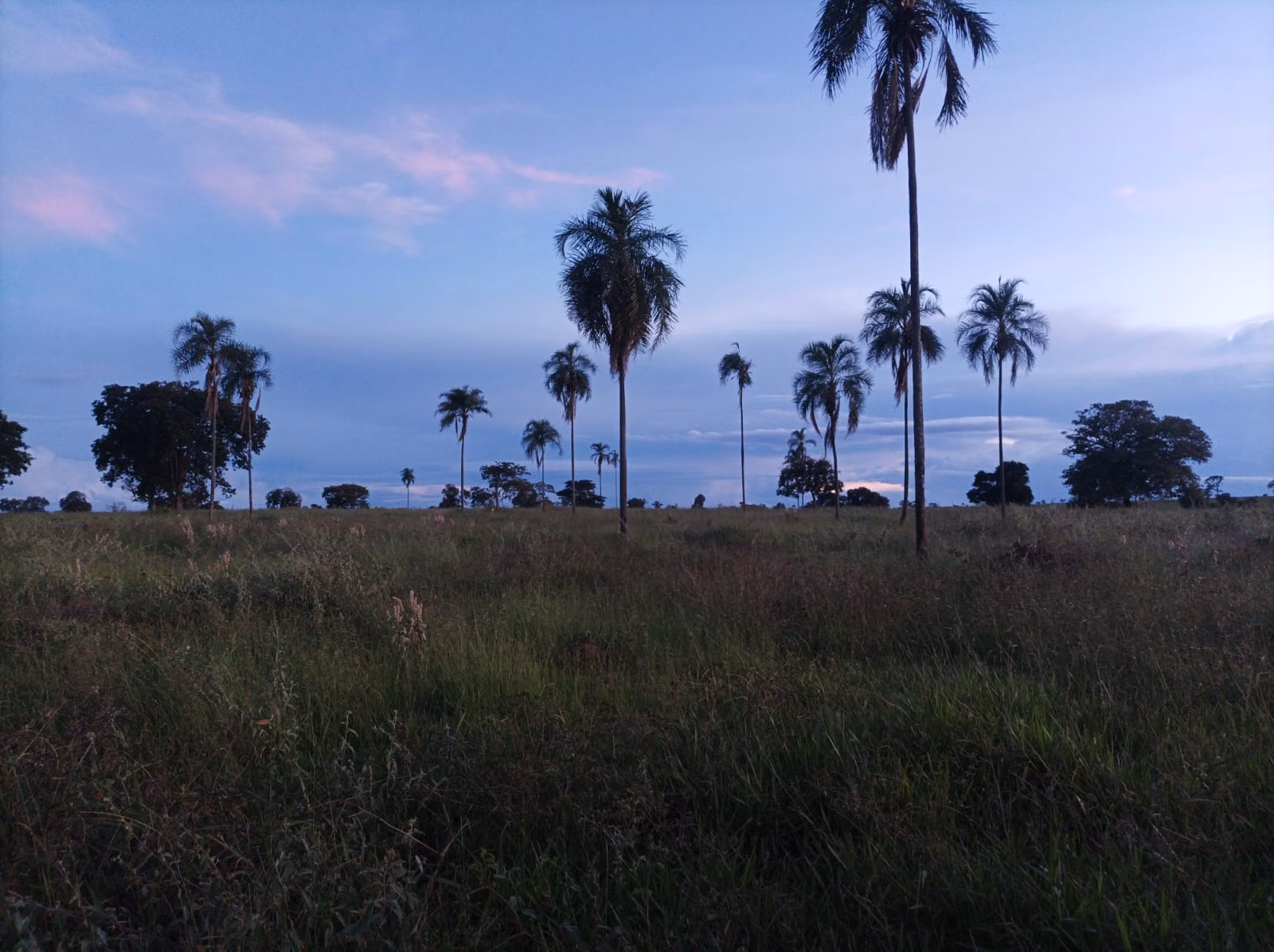 Fazenda de 380 ha em Aparecida do Taboado, MS